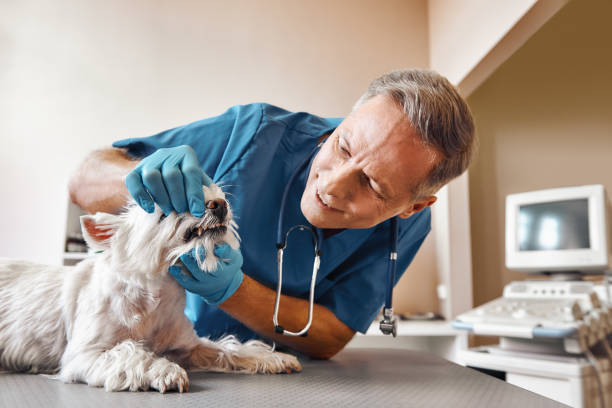 Best Knocked-Out Tooth Emergency  in South Palm Beach, FL